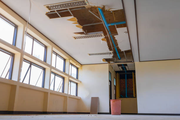 Best Commercial water damage restoration  in Shields, MI