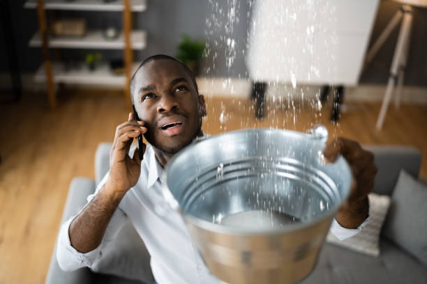 Carpet water damage restoration in Shields, MI