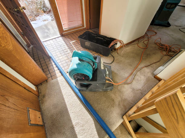 Best Water damage cleanup near me  in Shields, MI