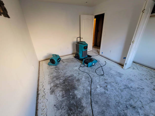 Best Water damage cleanup near me  in Shields, MI