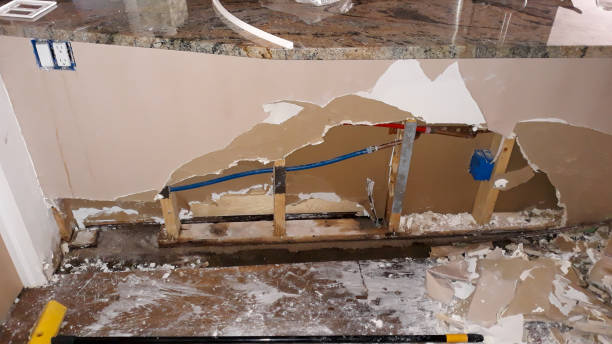 Best Water damage restoration near me  in Shields, MI