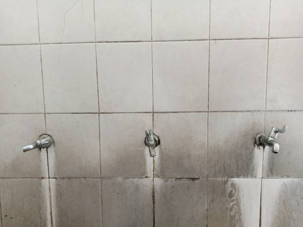 Best Flood restoration services  in Shields, MI