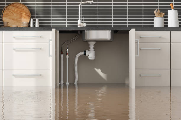 Best Ceiling water damage repair  in Shields, MI