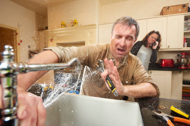 Best Water damage restoration insurance claims  in Shields, MI